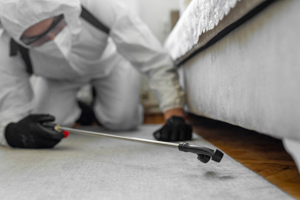 Professional Cockroach Control technician working in Manvel, TX